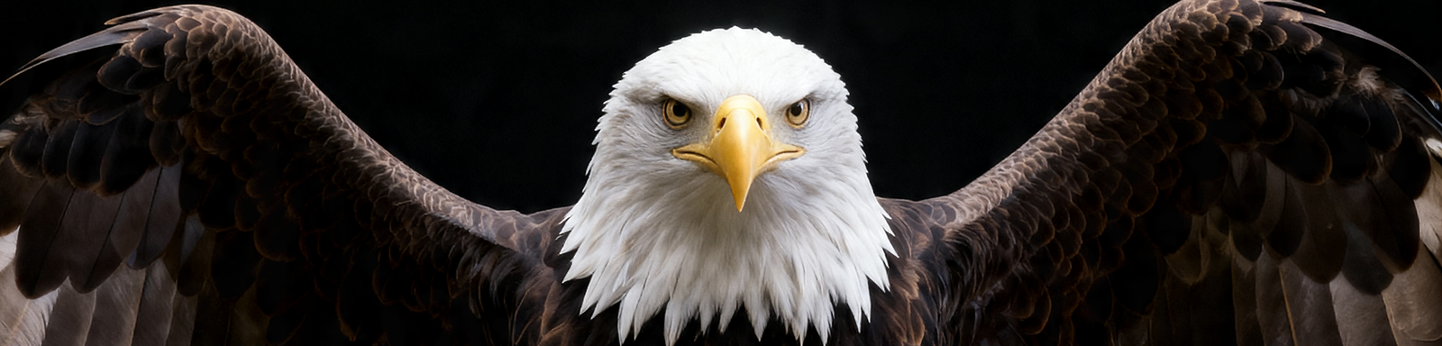 Águia Carranza Cursos